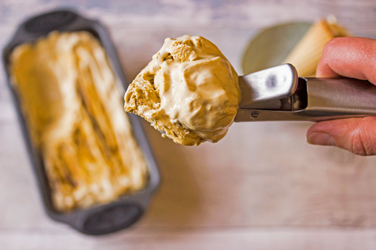 homemade-cardamom-and-treacle-ice-cream-scoop homemade-cardamom-and-treacle-ice-cream-scoop