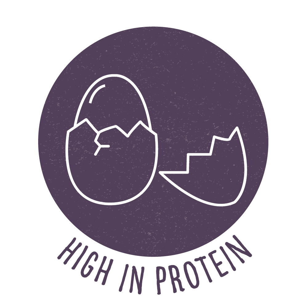 High in protein recipe High in protein recipe