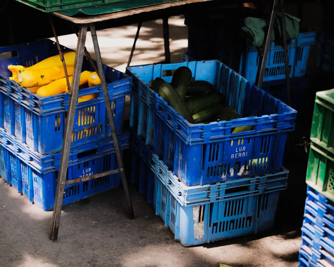 广告设计与包装设计协同服务：海口品牌形象一体化建设方案