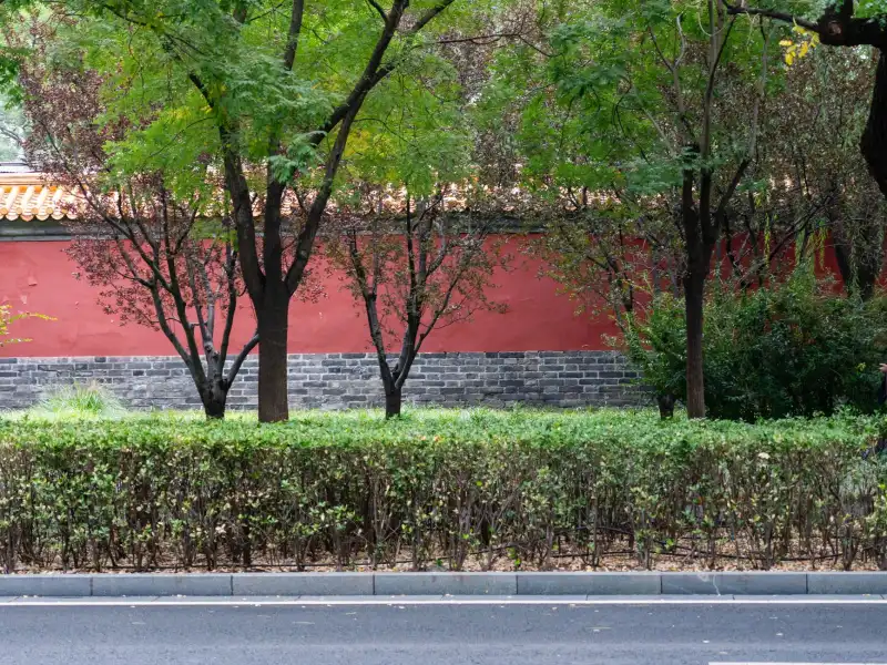 海口广告设计行业观察：VI视觉系统如何成为企业品牌建设的基础设施