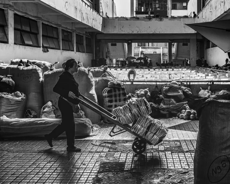 VI视觉系统在包装设计中的标准化应用与实施要点