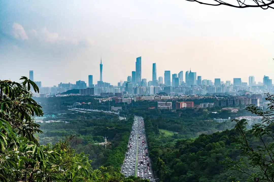 海口广告公司包装设计服务对比：从定位到落地的差异化策略封面图