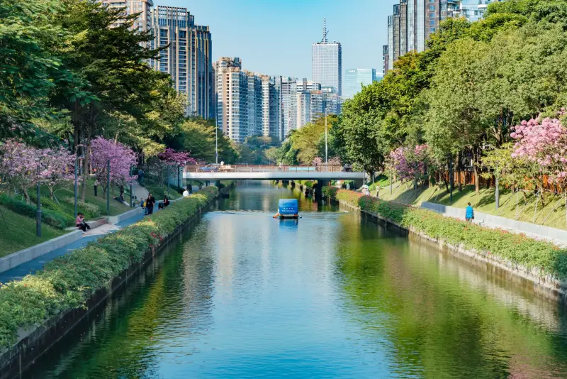 广告设计中的VI系统构建关键要素与实操要点