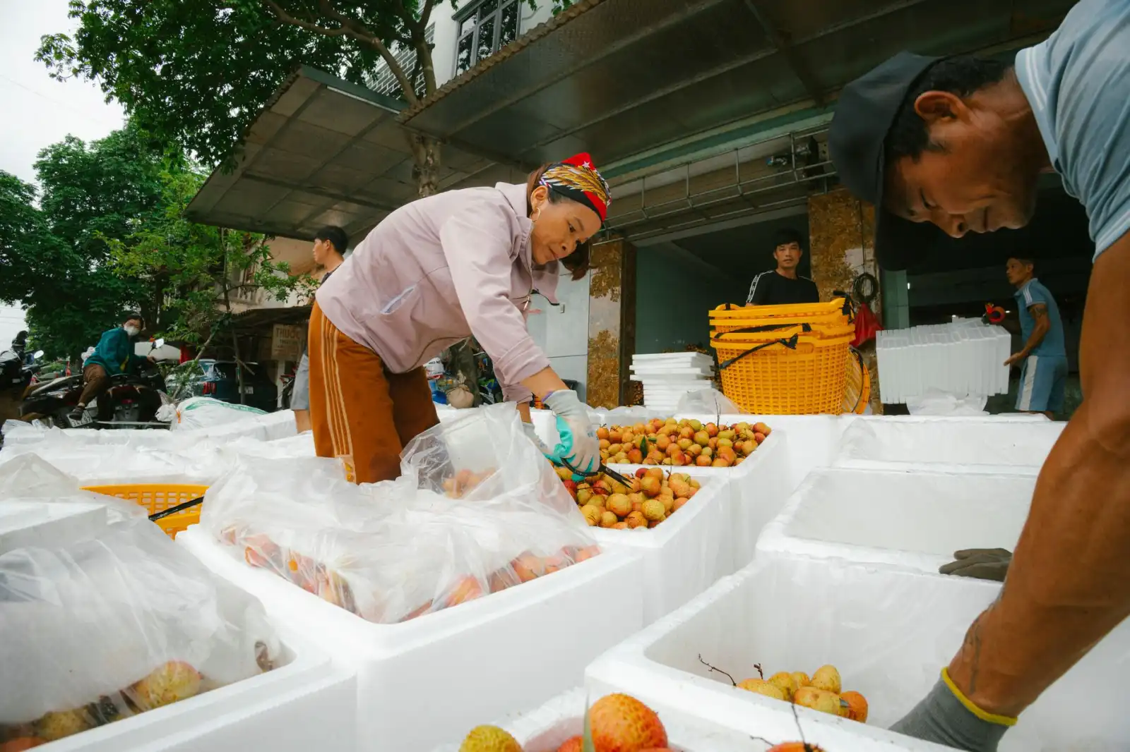 海口VI视觉系统设计流程与品牌一致性构建要点